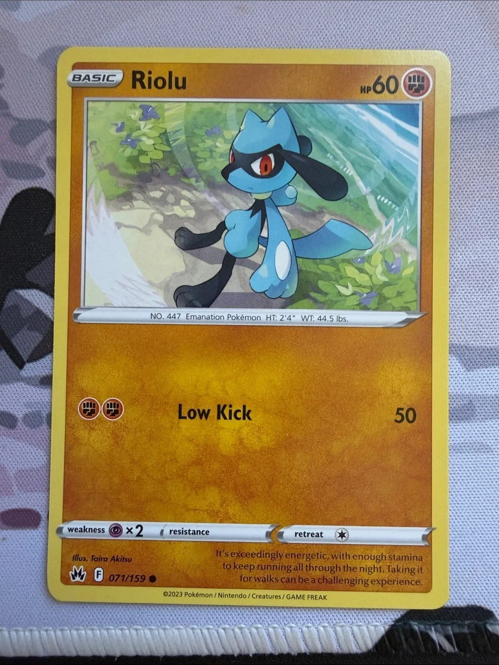 🥋 Martial Arts Pokémon Card Lot | Machop Primeape Riolu ✨5/$25✨